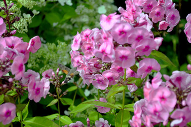 Similar image 22274079