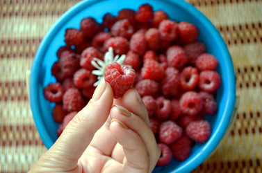 Similar image 22274081