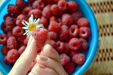 Similar image 22274082