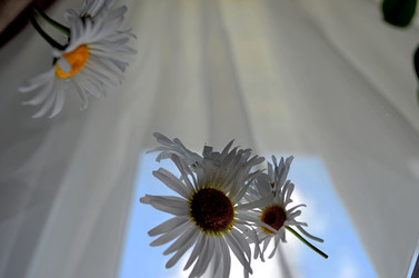 Similar image 22274083