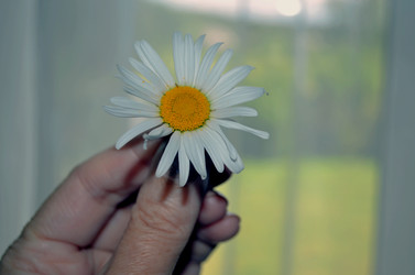 Similar image 22274086