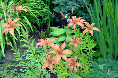 Similar image 22274087