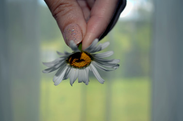 Similar image 22274088