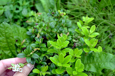 Similar image 22274090