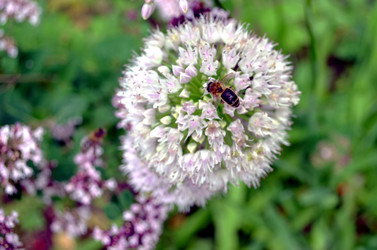 Similar image 22274091