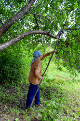 Similar image 22274092