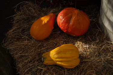 Similar image 22279940