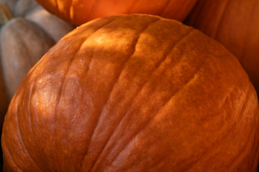 Similar image 22279942