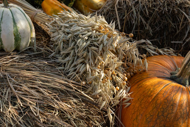 Similar image 22279943