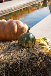 Similar image 22279944