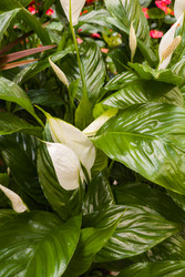 Similar image 22279954