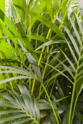 Similar image 22279956