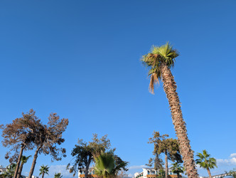 Similar image 22279957