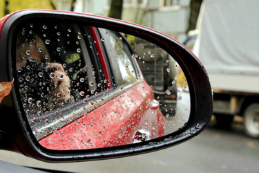 Similar image 22281326