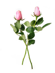 Similar image 22274519