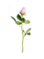 Similar image 22274520