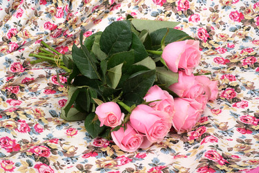 Similar image 22274522