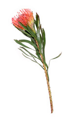 Similar image 22274523