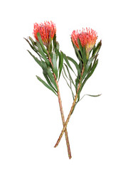 Similar image 22274524