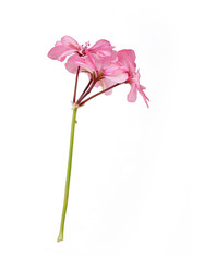 Similar image 22274532