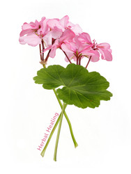 Similar image 22274533