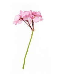 Similar image 22274534