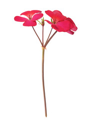 Similar image 22274536