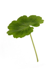 Similar image 22274902