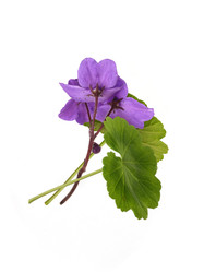 Similar image 22274903