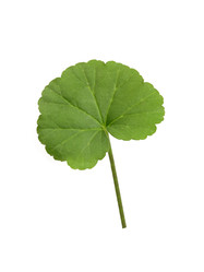 Similar image 22274905