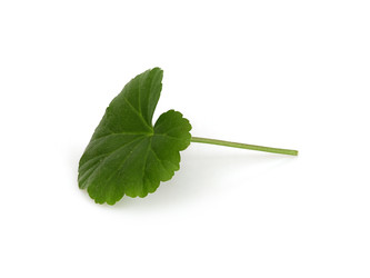 Similar image 22274907