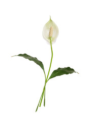 Similar image 22274909