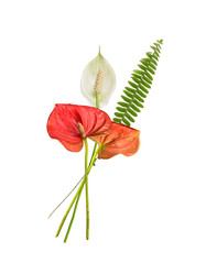 Similar image 22274910