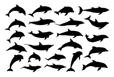 Similar image 22279755