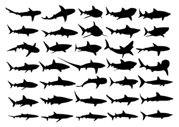 Similar image 22279756