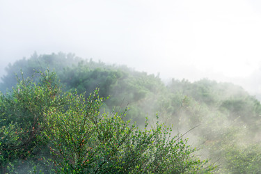 Similar image 22279702