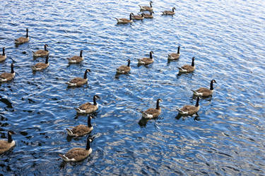 Similar image 22281333