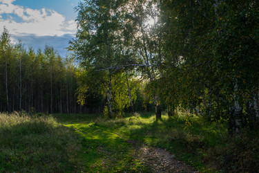 Similar image 22279960