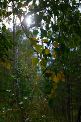 Similar image 22287622