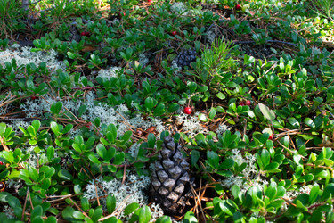 Similar image 22282690