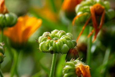 Similar image 22282691