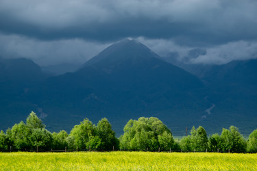 Similar image 22279963