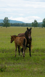 Similar image 22279964