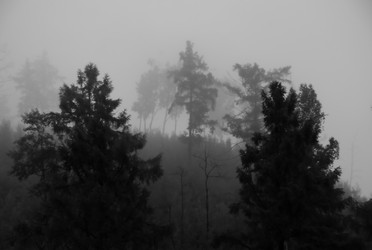 Similar image 22279966