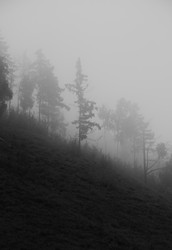 Similar image 22287624