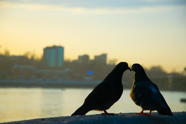 Similar image 22279971