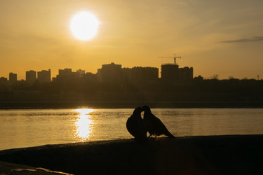 Similar image 22279972