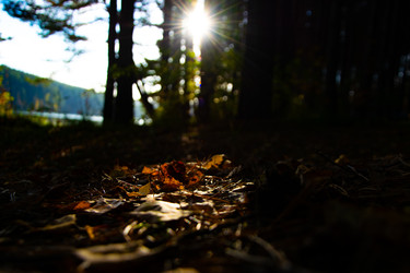 Similar image 22287626