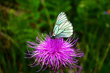 Similar image 22279974