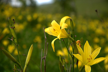 Similar image 22279975